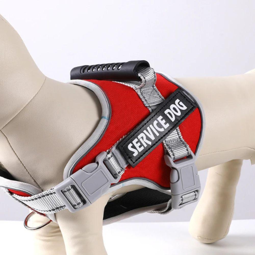 Leash Set Adjustable Harness Adjustable Reflective Vest Harness Service Dog Harness All Breeds