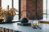 MoonKettle | Electric Kettle with Temperature Control, Black, BALMUDA Moon Kettle KPT02JP-BK, Released November 2012, Gift Available
