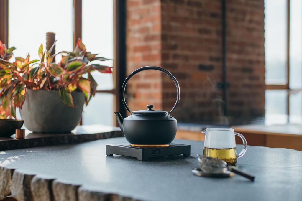 MoonKettle | Electric Kettle with Temperature Control, Black, BALMUDA Moon Kettle KPT02JP-BK, Released November 2012, Gift Available