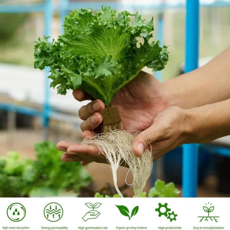 25x25x25mmSoilless Cultivation Seedling Pot Hydroponic Rockwool Plant Seed Germination Special Seedling Block50-100pcsEco-friend