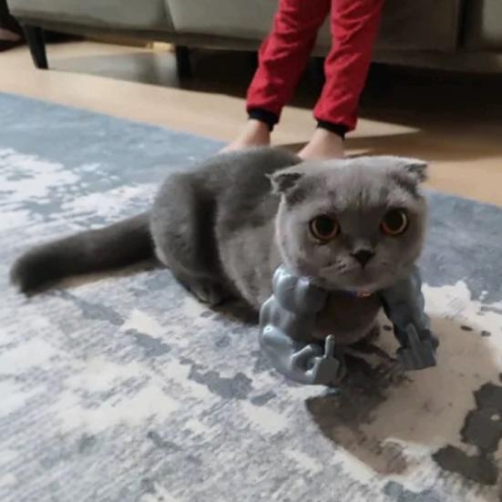 Katt Muskelarm Kostyme 3D-printet Kjæledyrrekvisitter Hengende Arm Morsom Superhelt Cosplay Tilbehør til Bursdagsfest
