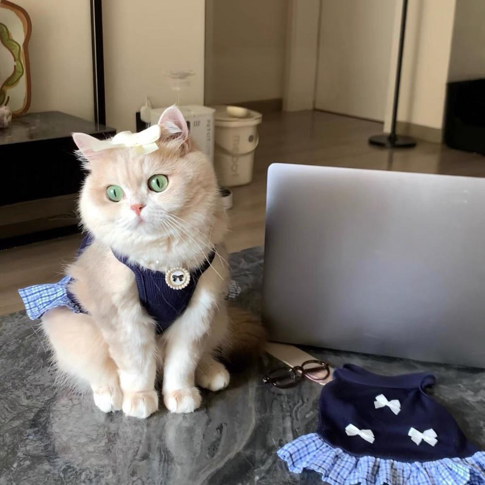 Anti-Hair Loss Camisole Skirt Lightweight Cat Clothes Cute Dog Clothes  for Cats and Small Dogs