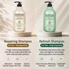 [Baron] Moringa Reparierendes / Erfrischendes Shampoo, Die Rose / Kirschblüte Limitierte Edition (1.000g) 1L