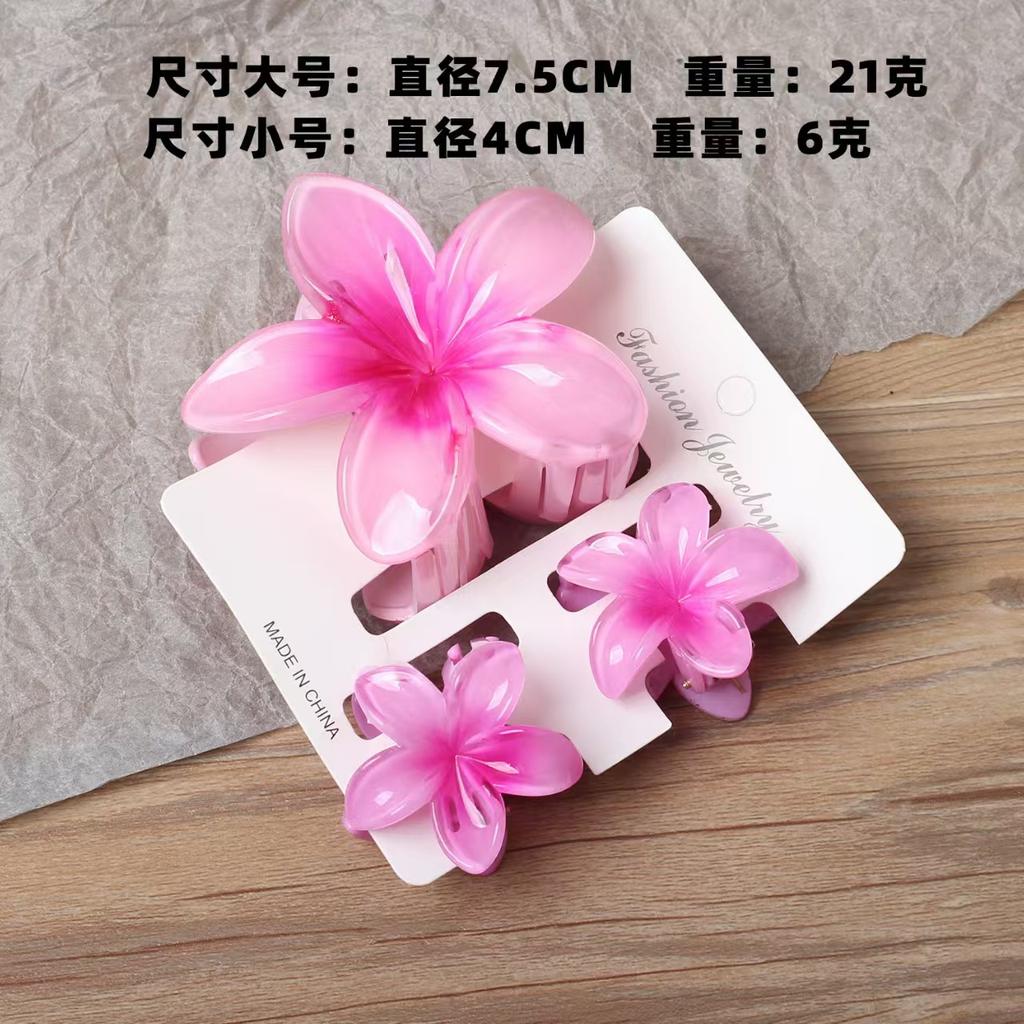 2025 New Egg Flower Grab Clip Retro Color Flower Hair Claw Clip Lady Side Grab Half Grab Back Head Shark