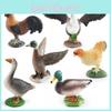 Farm Animal Chicken Duck Goose Pvc Model Set For Kids Education And Decor With Realistic Bird Figures