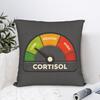 Low Cortisol Levels   Square Pillowcases Polyester Home  Cushion Cover Cool Decor Throw Pillow Case