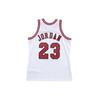 Mitchell & Ness NBA AU 95-96 Men's AJY4LG19009-CBUWHIT95MJO
