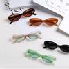 2025 new sunglasses Elliptical cat eye black sunglasses for women retro and trendy European and American bloggers,