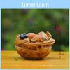 Cartoon My Neighbor Totoro Andwalnut Kernel Coal Balls Resin Miniature Micro Landscape Figures For Gift And Decoration