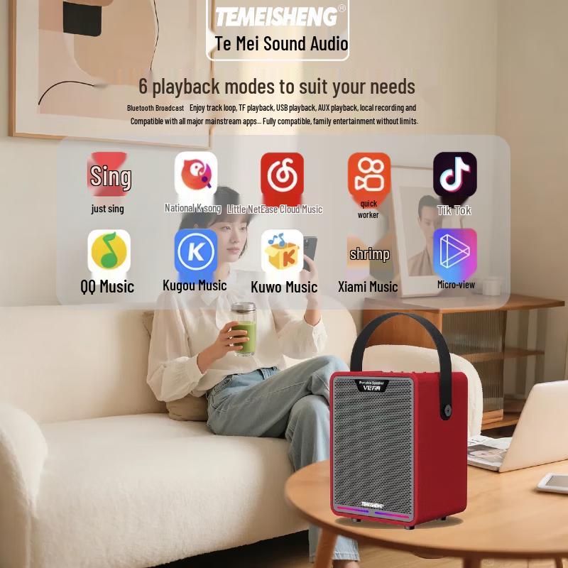 TEMEISHENG Ark V12 Portable Bluetooth Party Speaker CN Plug (adapter Included) (CN Version)