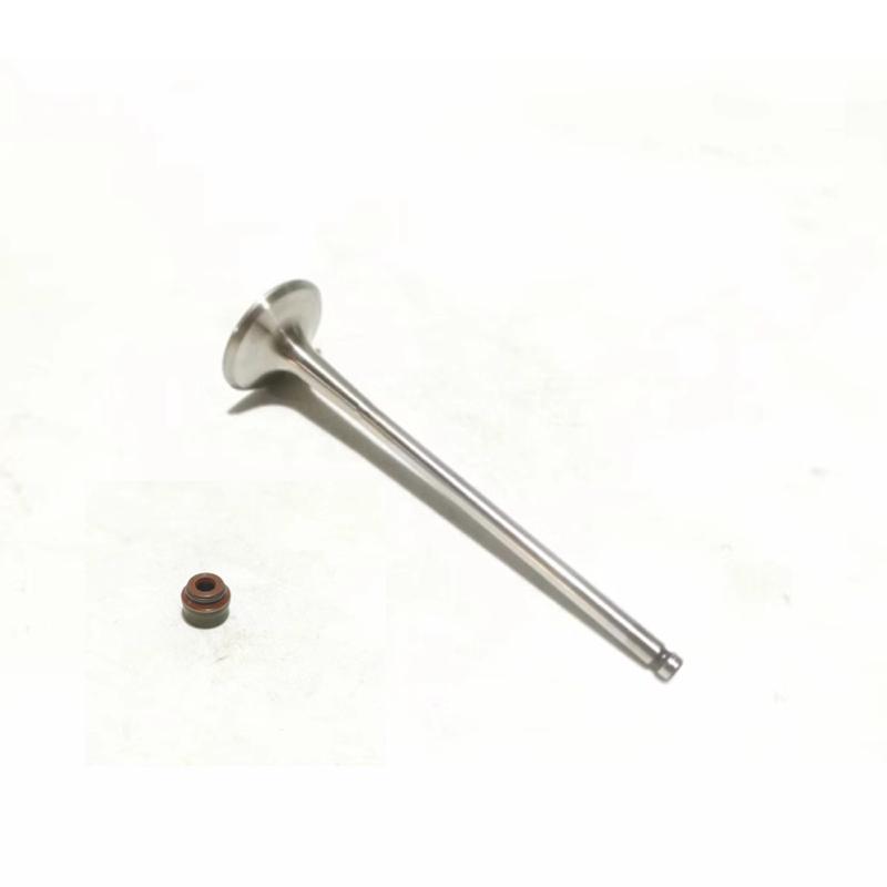 Motorcycle Accessories BJ750GS/752S Exhaust Valve Intake Valve BJ800 Valve Oil Seal Exhaust Valve