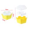 Pentagon Seed Sprout Tray Double-layer Bean Growing Plate Shading Cover Seed Seedling Starter Dish Hydroponics Plant Nursery Pot