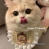 Pet Scarf Collar with Lace - Cute Cat & Dog Neck Warmer Bow Accessory