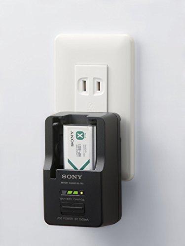 SONY rechargeable pack accessory kit with charger ACC-TRBX