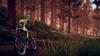 Descenders Switch -