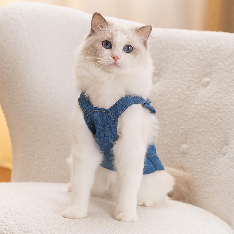 Kitten Winter Pocket Denim Dress for Small Dogs