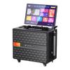 SANSUI Q105 Portable KTV & Outdoor Bluetooth Speaker System CN Plug (adapter Included)