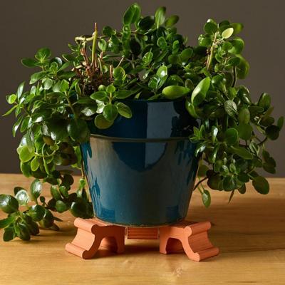3 Pezzi Piedini per Vasi da Fiori in Resina Alzavasi Riutilizzabile Supporti per Vasi da Esterno Interno per Piante in Vaso Piedini di Supporto per Fioriera con Bordo Dritto o Piatto