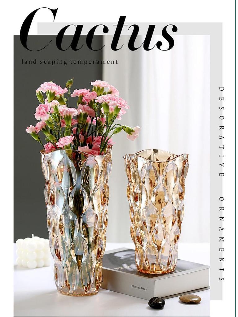 Bohemian Modern Clear Glass Vase for Home Decoration and Hydroponic Flower Arrangements in Living Room