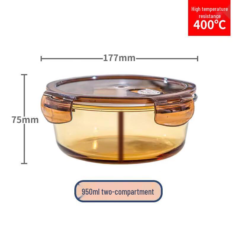 EWIGER STERN Borosilicate Glass Bento Lunch Box