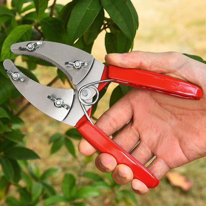 Professional Tree Ring Pruning Shears Stainless Steel Bark Cutter Grafting Tool Fruit Tree Garden Branch Trimming Gardening Tool