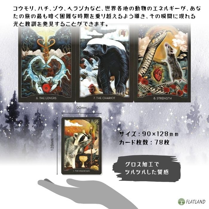 The Guardian of the Night English Tarot reading Japanese instruction manual Authentic 78 tarot cards Tarot, version, instructions, included,