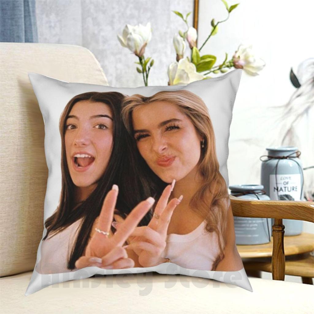 Charlie And Addison Pillow Case Printed Home Soft Throw Pillow Renagade Dmelio Rae Netflix Vintage Yk Aesthetic Vsco