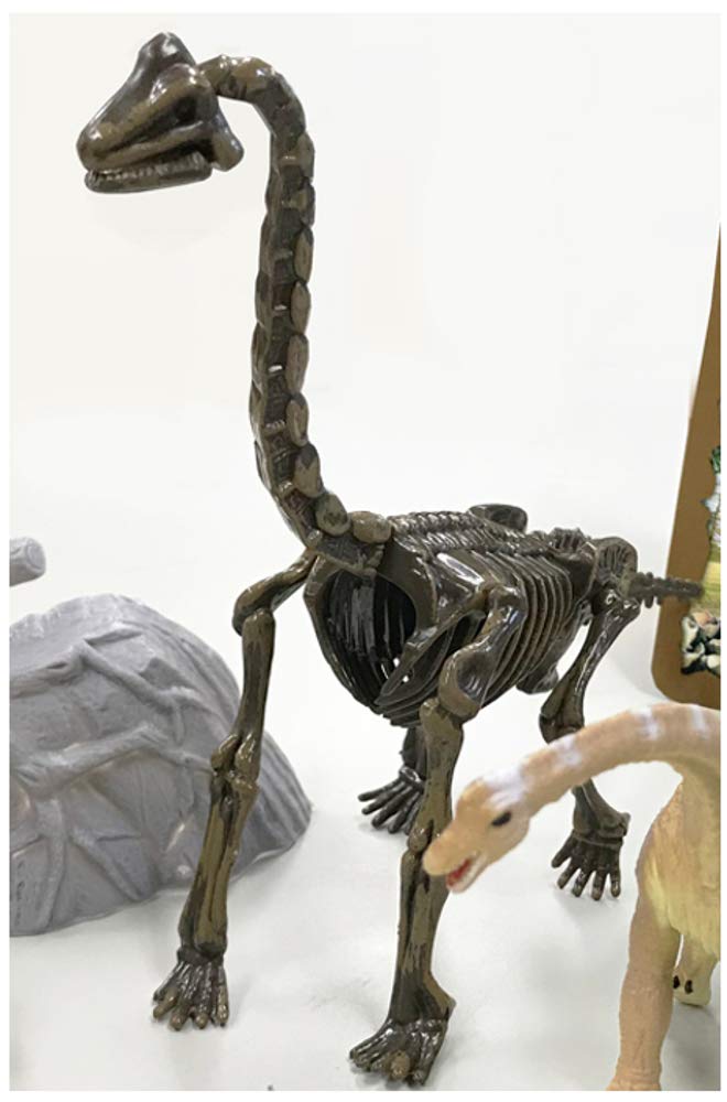 Doyusha Dinosaur Museum AR Brachiosaurus Mini and Scene Figure (pre-painted, Pre-assembled Skeleton, Skeleton, Set)