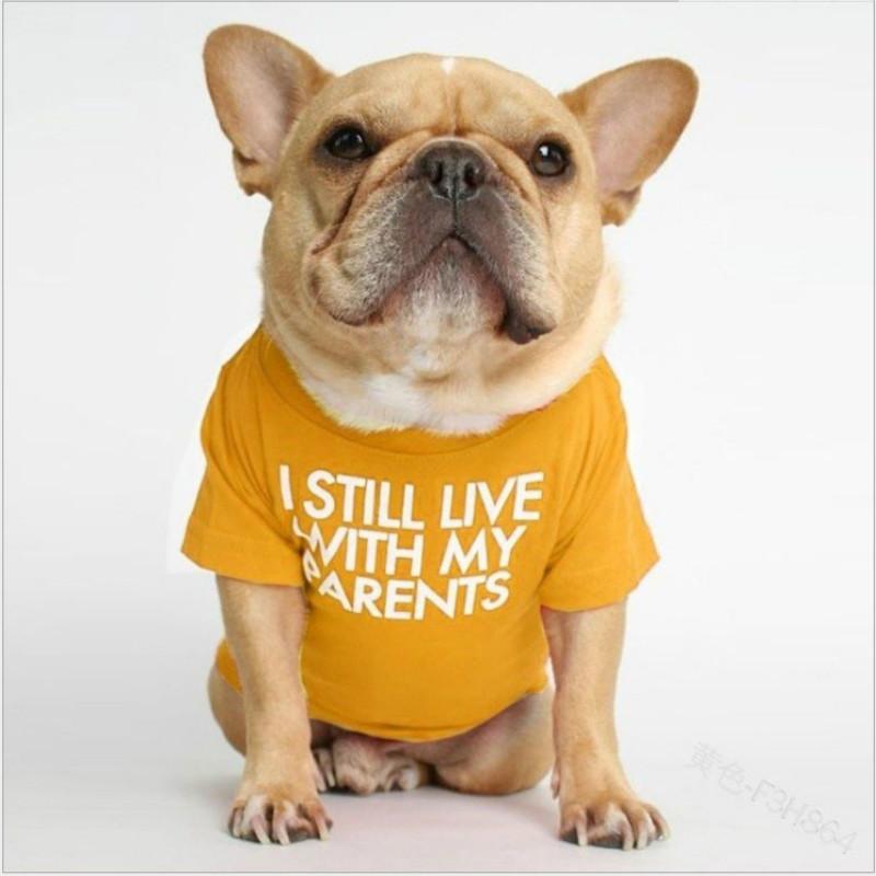 Dog Accessories Pet Vest Letter Printing Two-legged Dog Cloth Round Neck Vest