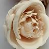 Rose Realistic Lily Flowers Home Wedding Decoration Photography Gifts Props