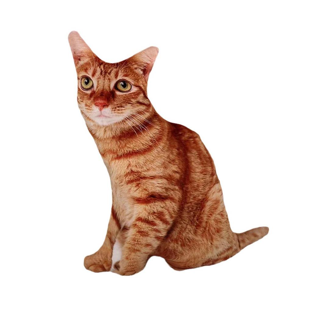 3D Tiger Pattern Cat Doll Pillow - Creative Cat Star Birthday Gift