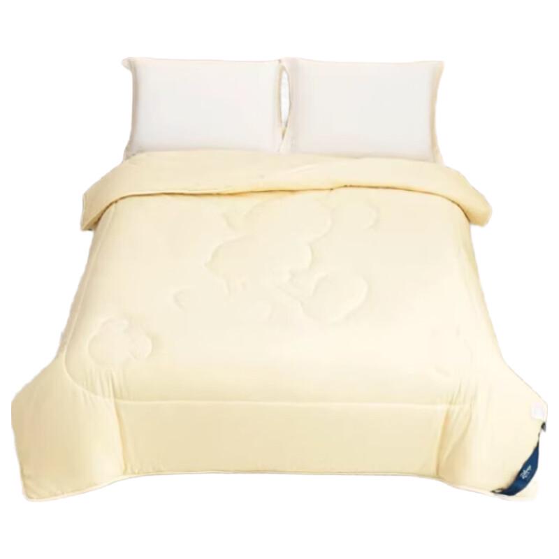 Disney DDM05 All-Season Polyester Quilt
