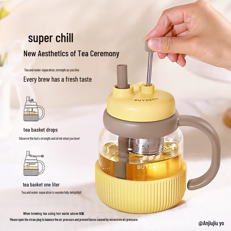 Buydeem Glass Tea Infuser Water Bottle