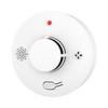 PGST Wireless Battery-Powered Smoke Detector