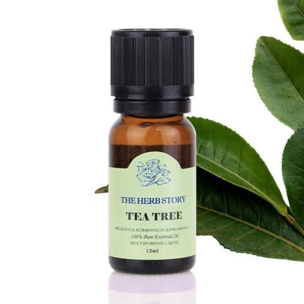 

[OF4783O2] Tea Tree Aroma Essential Oil (12104474)
