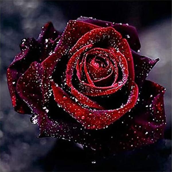 Painting New 5d Diamond Flower Arrivals Embroidery Rose Sale Rhinestones Mosaic Cross Stitch Wall Decor