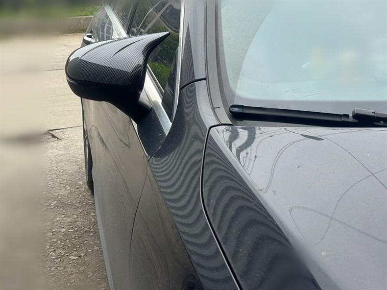 Mercedes-Benz A-Class 180/200/220 Carbon Fiber Devil Ear Mirror Cover Modification