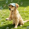 Pet Hat Corduroy Dog Hat Dog Baseball Hat Headwear