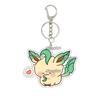 Hot Pocket Anime Leafeon Sylveon Game Acrylic Keychain Charm Umbreon Eevee Cartoon Character Pattern Key Ring Ornament Gifts Toy