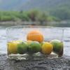 Foldable Transparent Bucket Picnic Fruit Basket Portable Clear Water Basins Food Storage Container For Camping Hiking Fishing