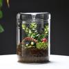 Perforated Cover Desktop Glass Vase Transparent Moss Plant Pots Glass Terrarium  Desktop Decor
