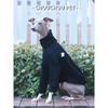 Windhund/Whippet Schmal geschnittene Hundekleidung Rollkragen Stretch Haustier Unterhemd Schwarz Premium Haustierkleidung