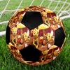 JoNaLu Theme Size 5 Soccer Ball, Suitable for Both Indoor and Outdoor Matches, a Gift Suitable for Everyone.