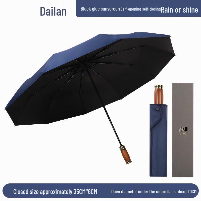 Paradise Automatic 10-Rib Sun/Rain Umbrella