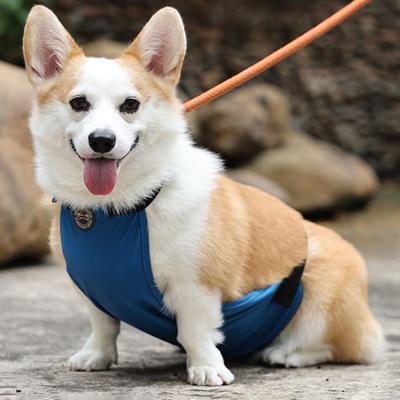Fastener Tape Closure Waterproof Pet Bellyband Breathable Anti-dirty Dog Clothes Pet Supply