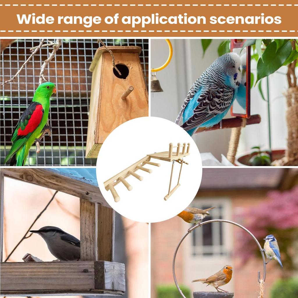 Parrot Perch Cage Accessories With Ladder Swing Cockatiel Perch For Boredom Prevention Mental Stimulation Parakeets Finches Home