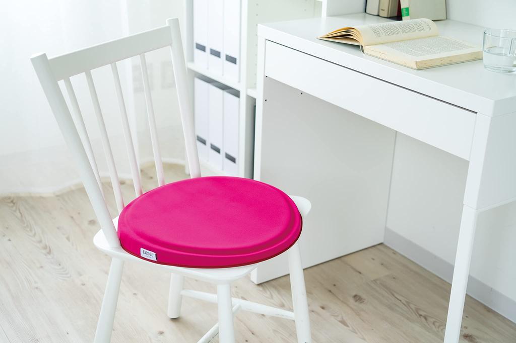 EXGEL Kaji Cushion Maru Punifit Rose Gel Cushion Made in Japan Chair Dining Sofa Cushion Zabuton Work from Home / PUN22-RO