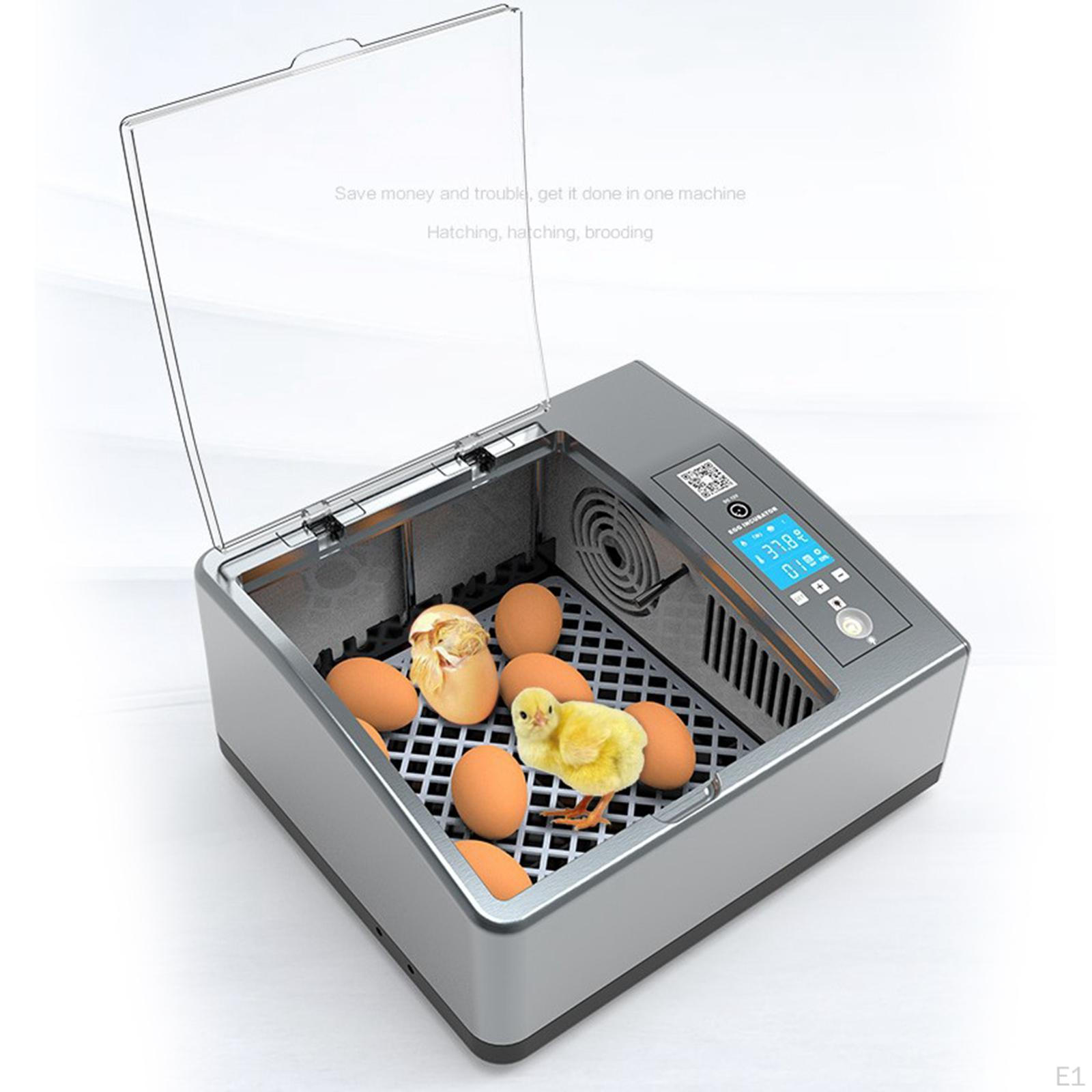 Инкубатор для яиц — фото 2