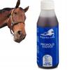 Shampoo para cavalos com própolis 100ml HIPPIKA - para cicatrização de feridas, infeções fúngicas