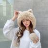 Woolen Winter Plush Hat Cartoon Ear Protection Hat Fashion Cat Ears Beanie  Streetwear